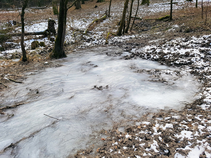 prameniště bez jména (11883) - březen 2018