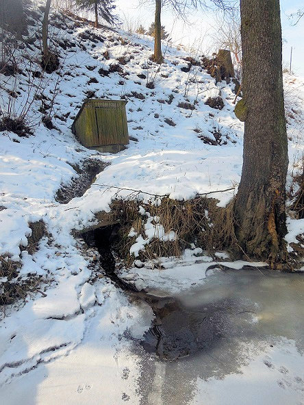 Studánka v Bílku (11887) - březen 2018