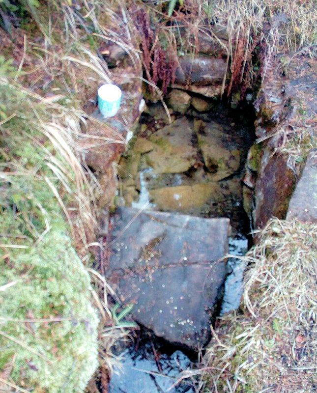 studánka Vrch gora (11893) - březen 2018
