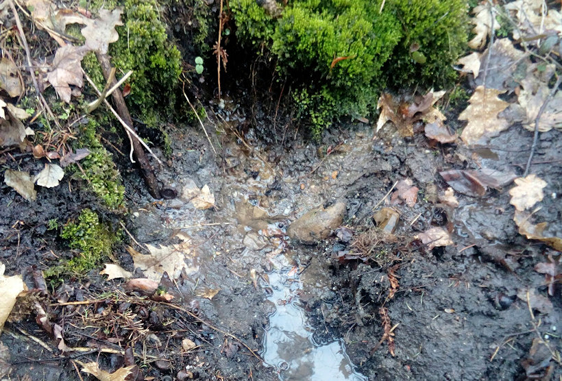 prameniště Jablunka (11898) - březen 2018
