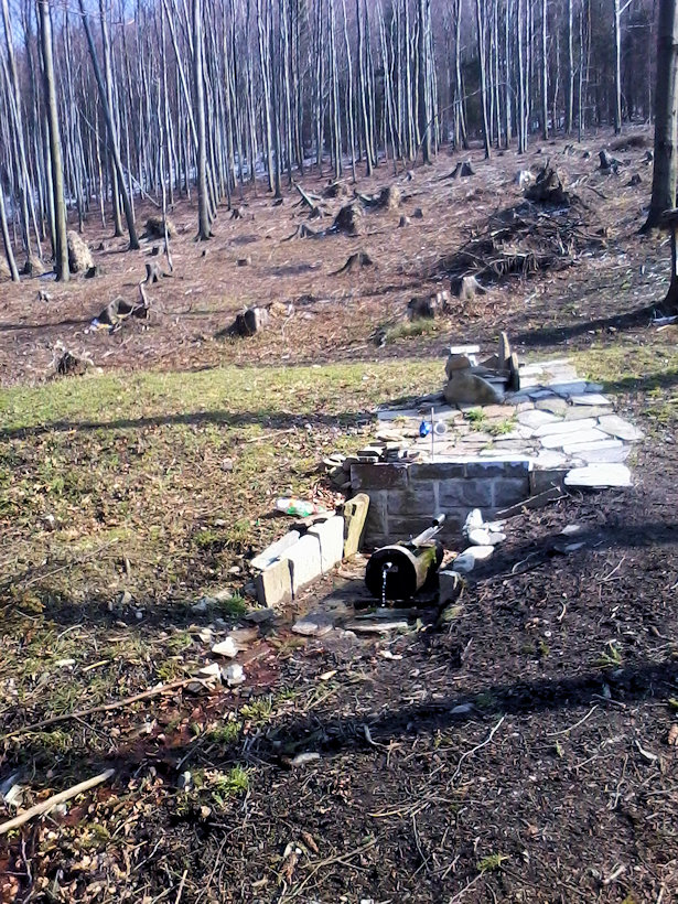 studánka Pod Prašivou (11905) - březen 2018
