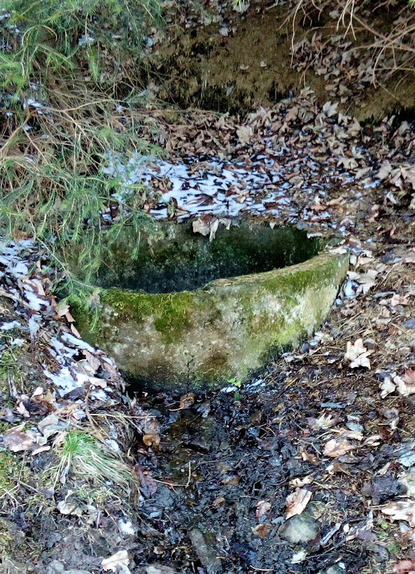 studánka Nad Polankou (11915) - březen 2018