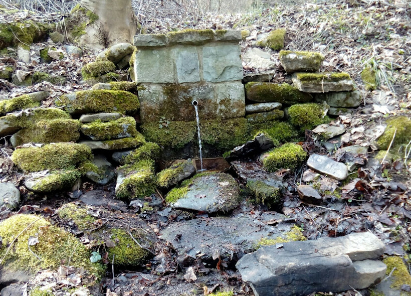 studánka Na Jamě (11921) - březen 2018