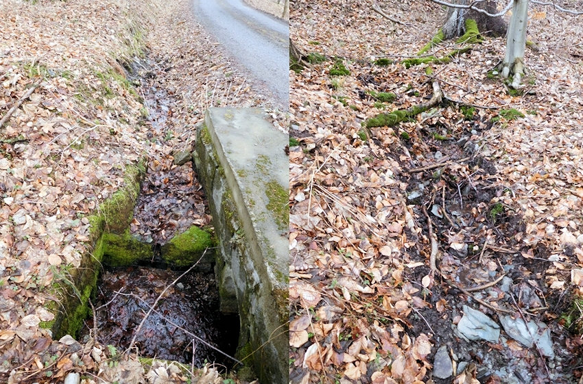 prameniště bez jména (11926) - duben 2018