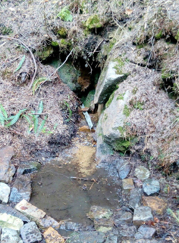 studánka Pod Kurajkou (11948) - duben 2018