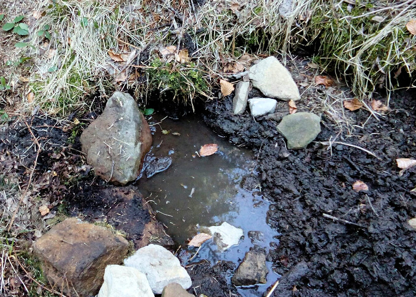 studánka Na kančí stezce (11964) - duben 2018