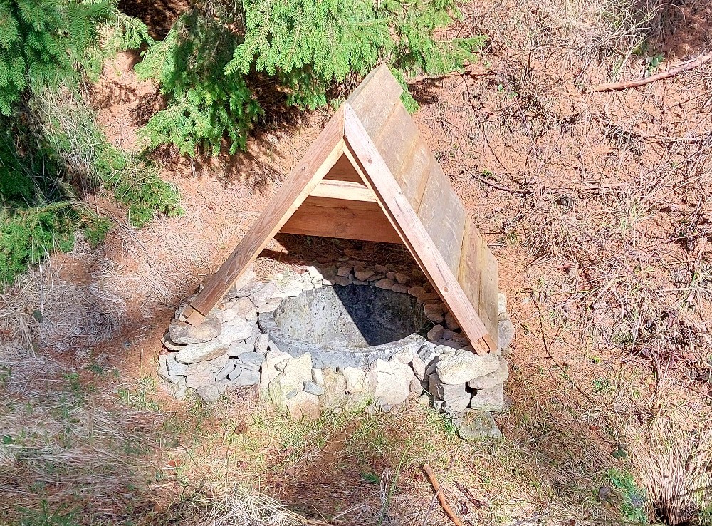 studánka Pod Kravím vrchem (11999) - březen 2026