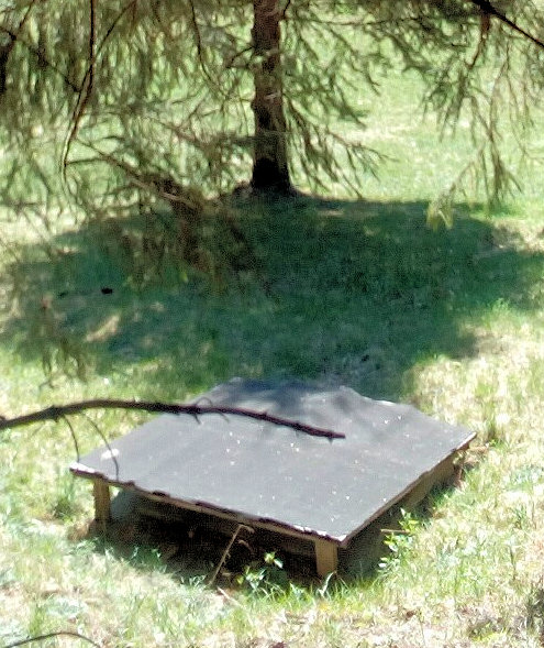 studna Na Tatínkách (12006) - duben 2018