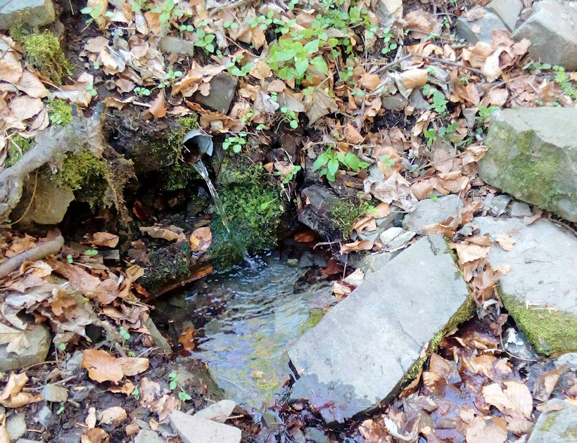 studánka Nižní Kamenitý (12007) - duben 2018