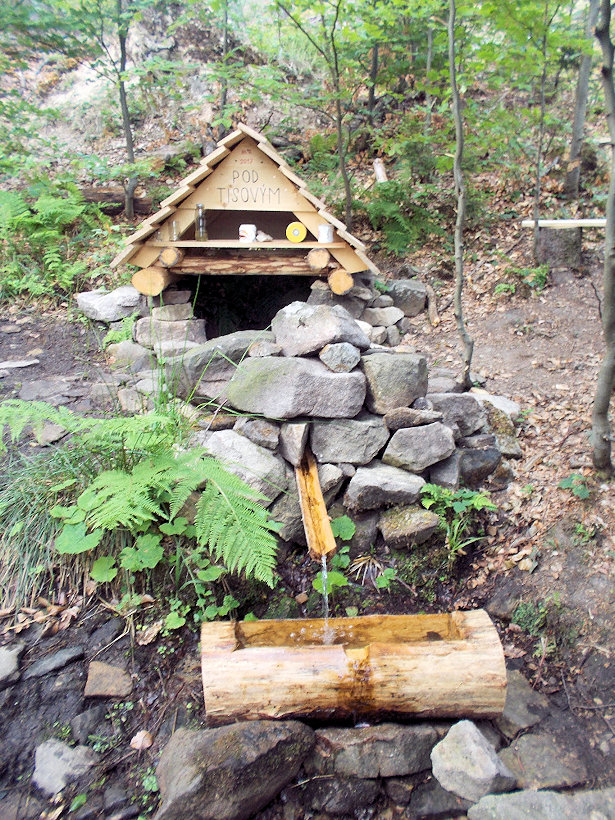 studánka Pod Tisovým (12026) - květen 2018