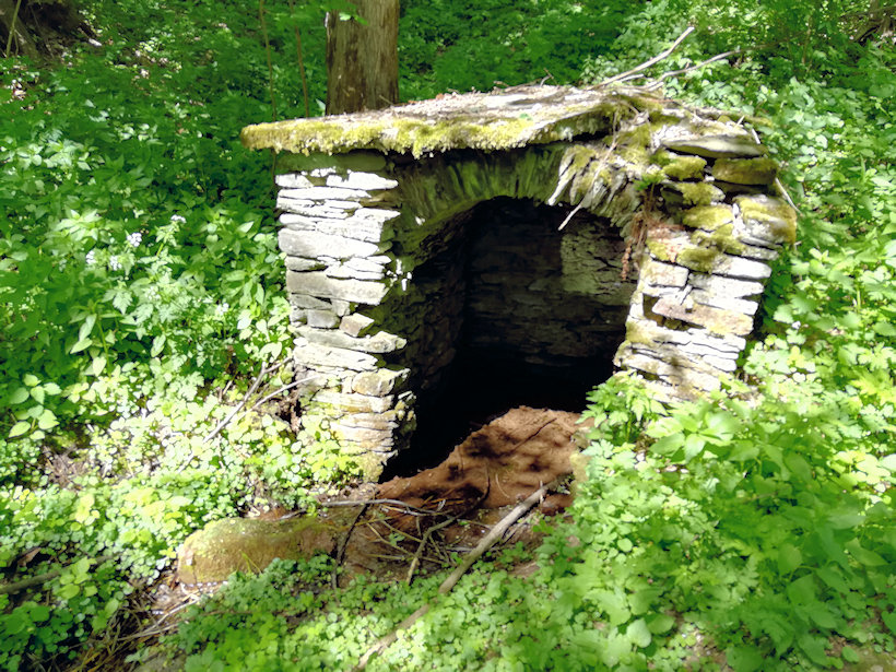 studánka Dědičná štola Klinge (12032) - květen 2018