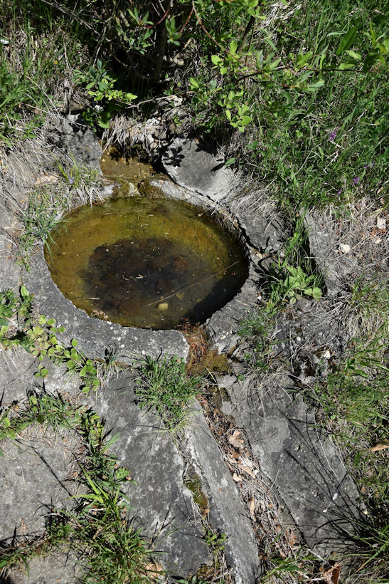studánka Pod Šibenickým vrchem (12036) - květen 2018