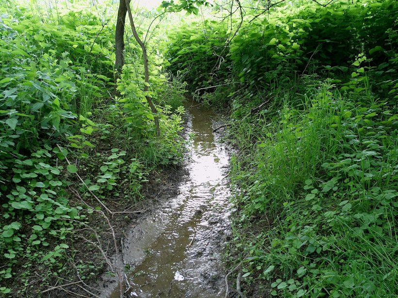 pramen bez jména (12041) - leden 2009