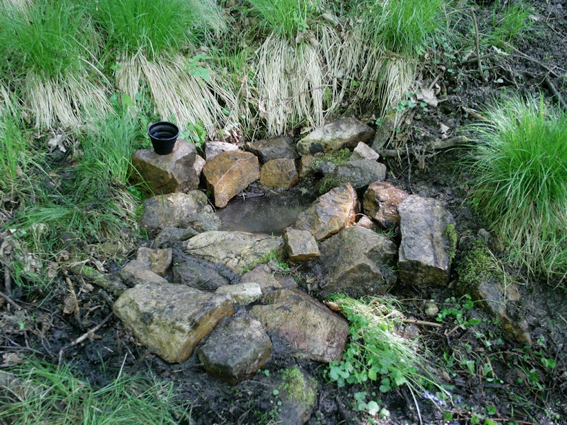 studánka bez jména (12042) - leden 2009
