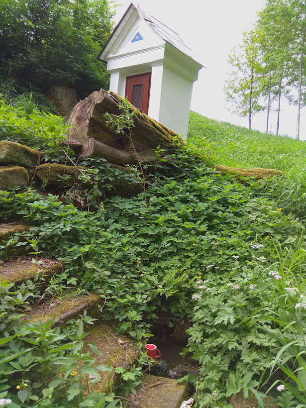 studánka Pod Vejrovskou kapličkou (12050) - květen 2018