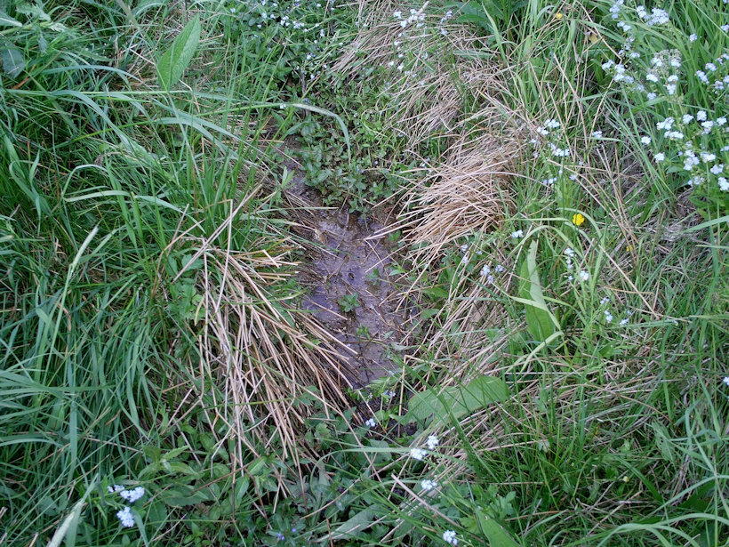 pramen U Špičkového zákopu (12058) - leden 2009