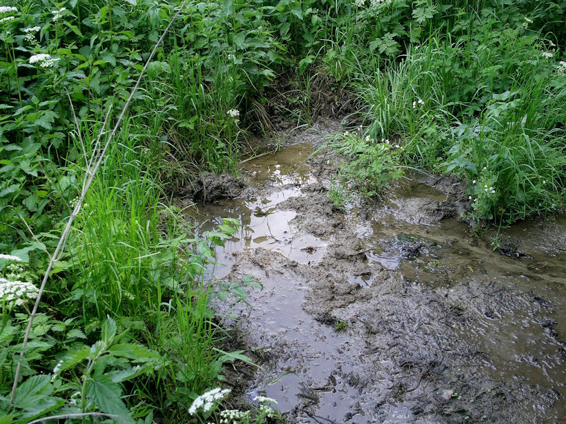 pramen Za Kuklcípem (12060) - leden 2009