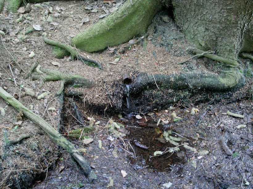 studánka bez jména (12061) - leden 2009