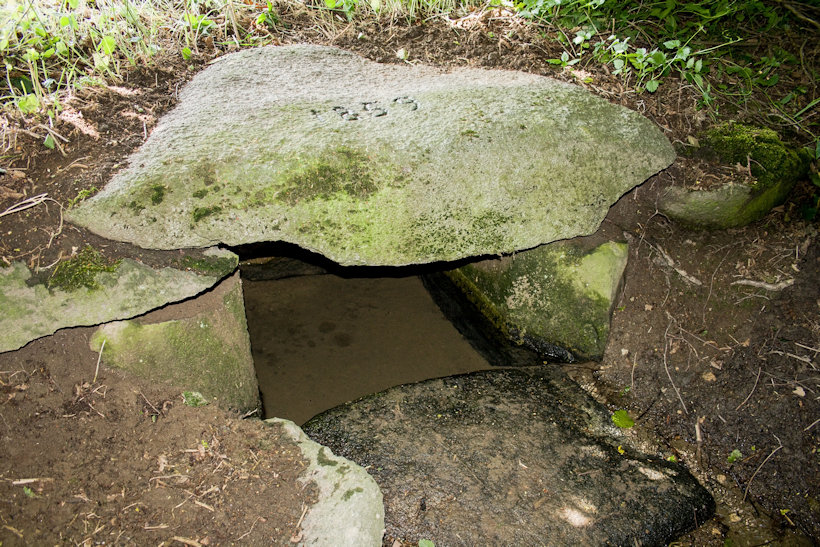 studánka V Hati (12092) - květen 2018