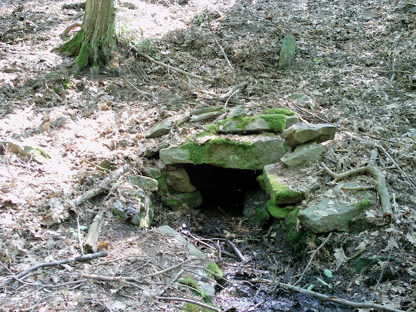studánka bez jména (12116) - leden 2009