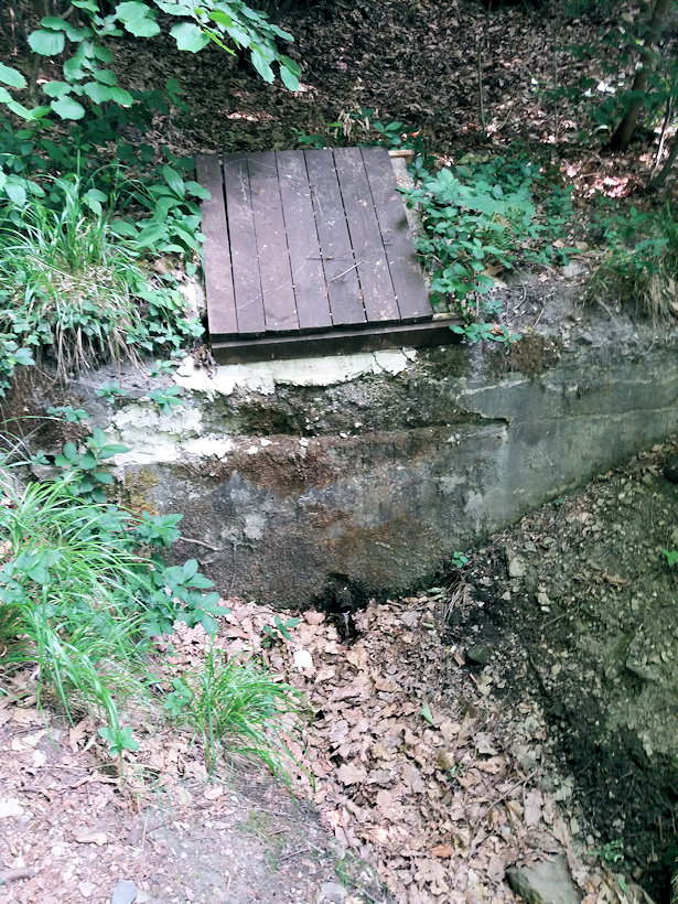 studánka bez jména (12125) - červen 2018