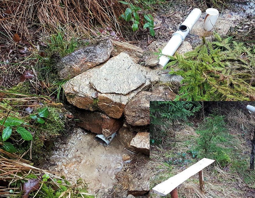 studánka Devětsilové království (12128) - leden 2023