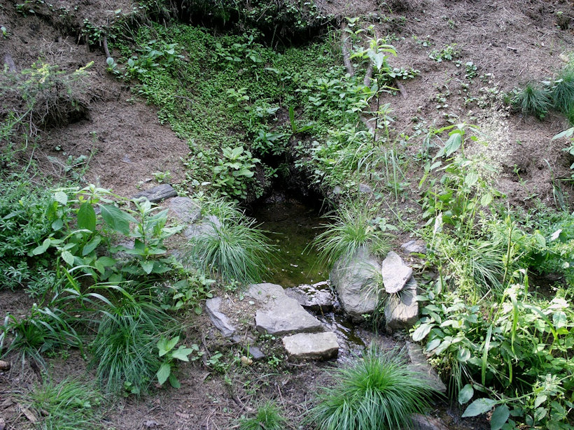 studánka bez jména (12134) - leden 2009