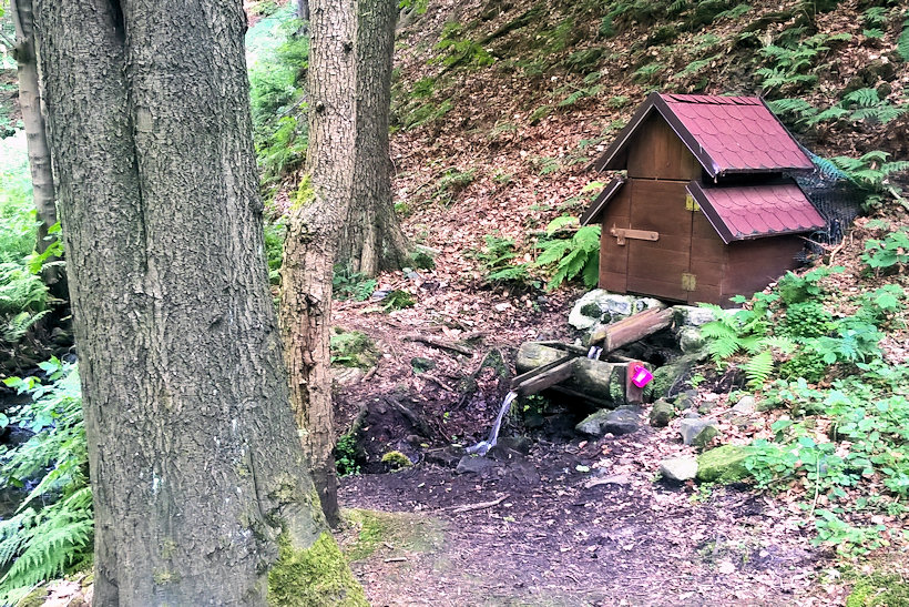 studánka Lukáš (12139) - červen 2018
