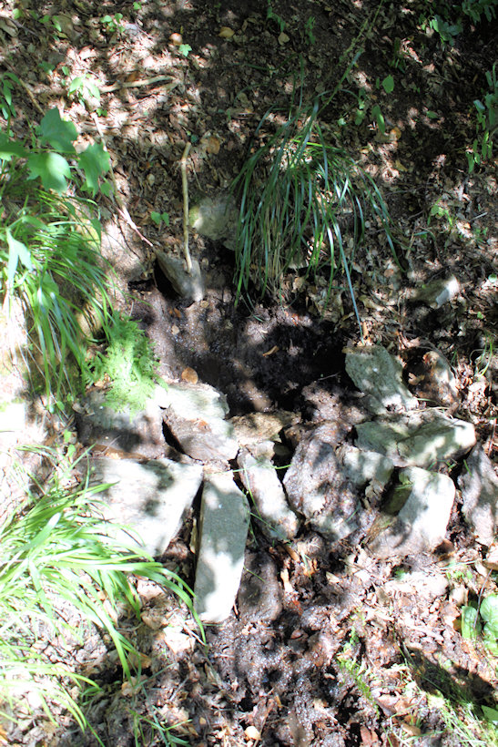 studánka U Hasičské cesty (12140) - červen 2018