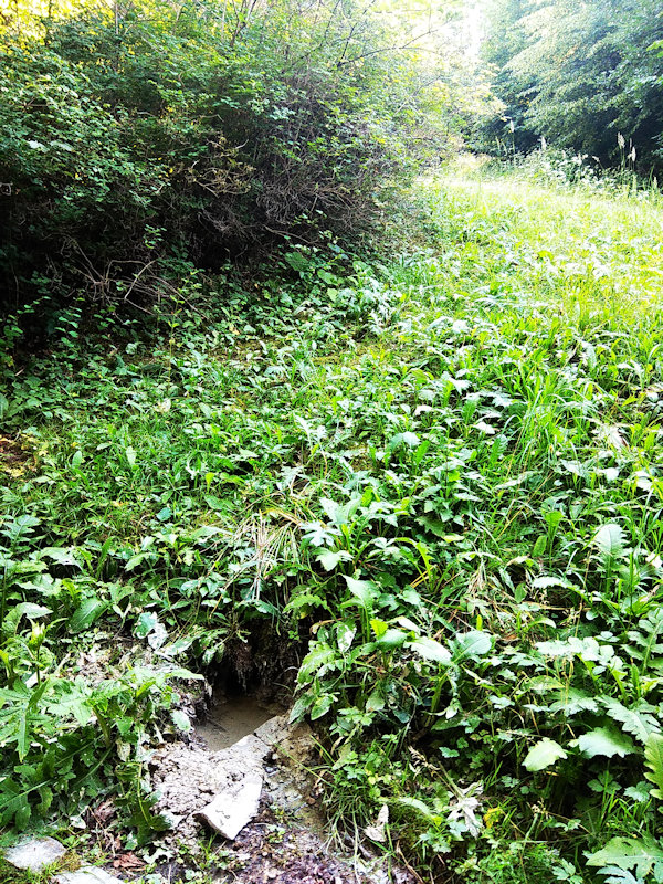 Pavlova studánka (12174) - červenec 2018