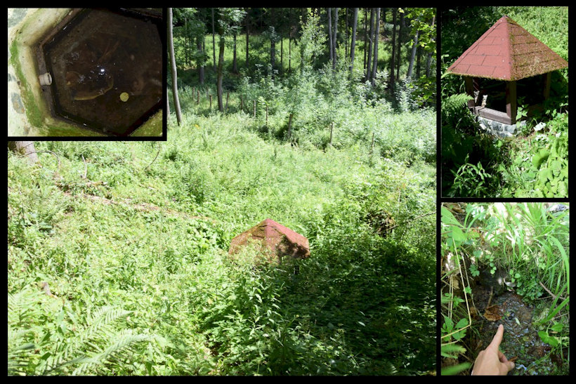 studánka Pod Homolí (12176) - červenec 2018