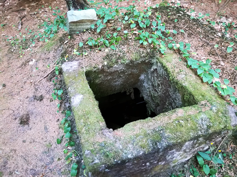 jiný vodní zdroj Martinovo údolí (12177) - červenec 2018