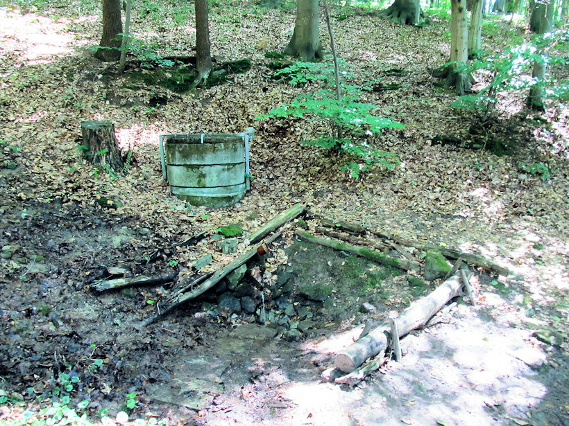 Dobruščina studánka (12182) - červenec 2016