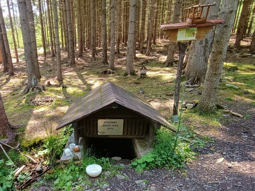 studánka Jedová hora (12183) - červen 2023