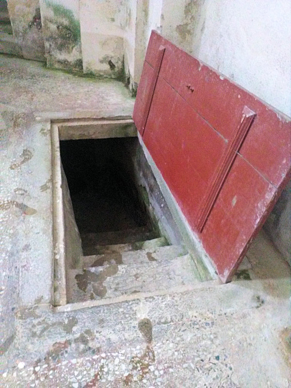 studánka bez jména (12203) - červen 2018