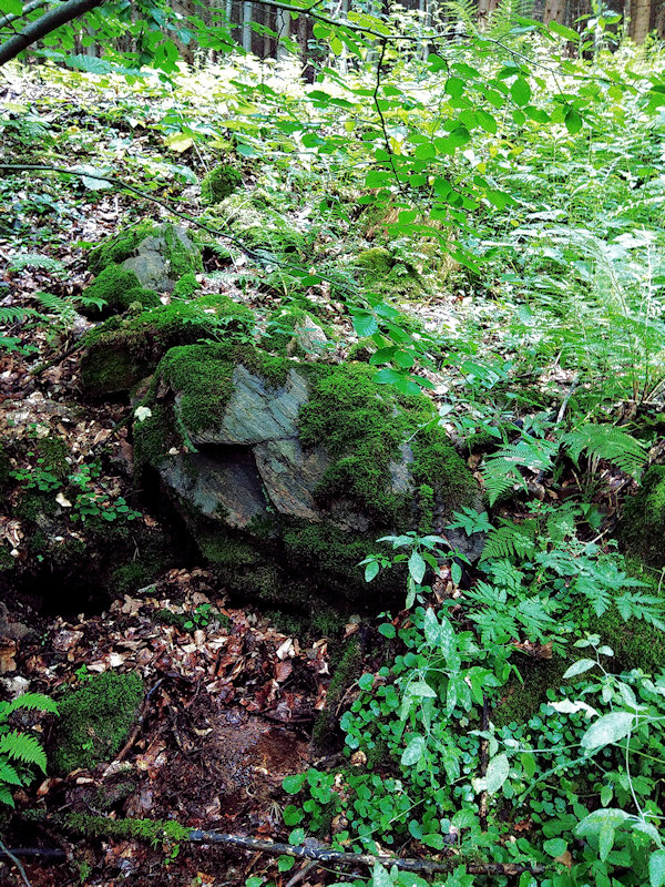 studánka Kobylí důl (12210) - červenec 2018