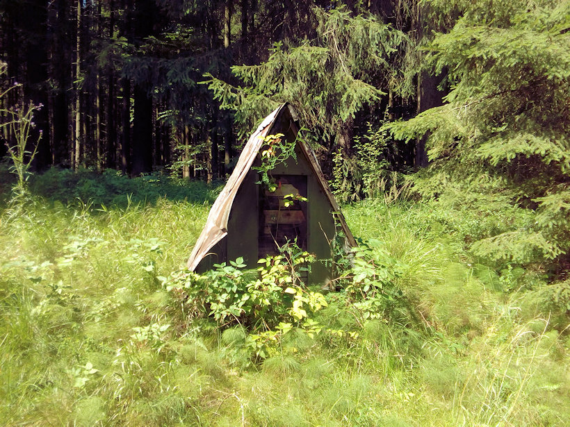 studánka U Kyčmolu (12232) - červenec 2018