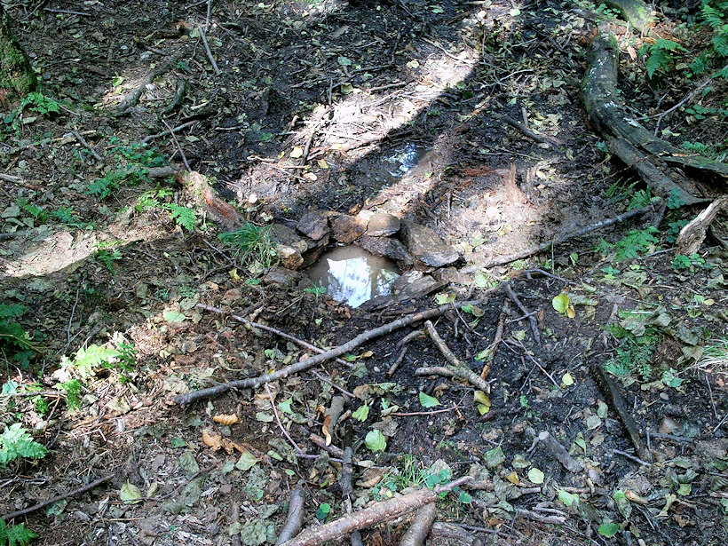 studánka bez jména (12241) - leden 2009