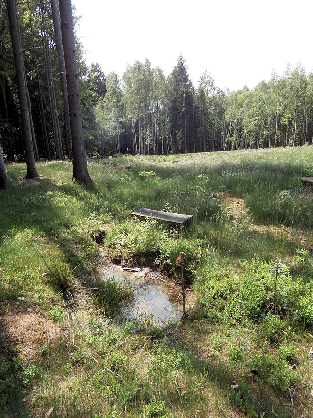 prameniště U Krchůvku (12246) - květen 2017