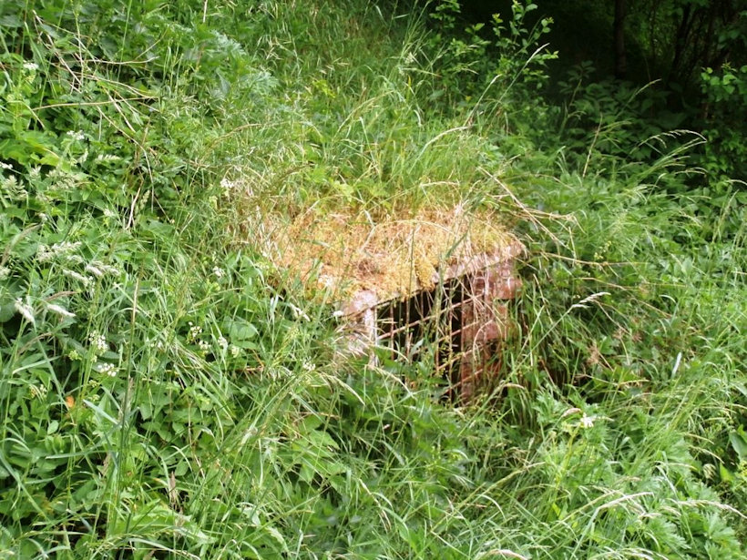 studánka bez jména (12266) - květen 2017