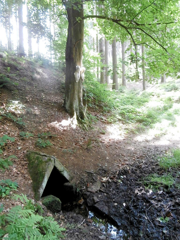 studánka Kocournice (12269) - červen 2017