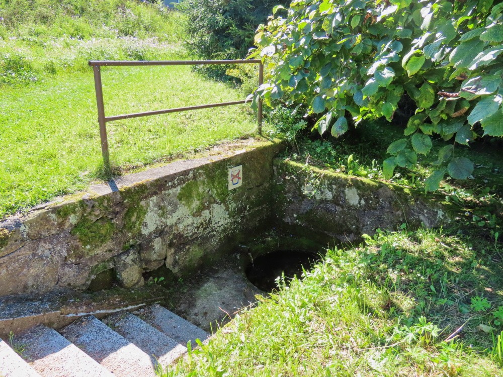 studánka bez názvu (12289) - srpen 2024