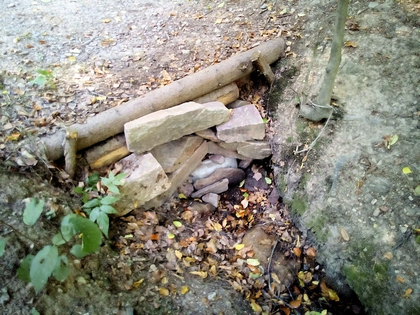 studánka Stříbrný díl (12301) - srpen 2018
