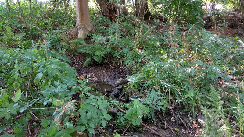 Růženčina studánka (12305) - srpen 2018