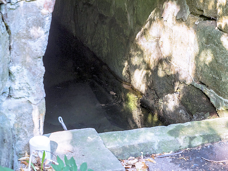 studánka bez jména (12325) - srpen 2018