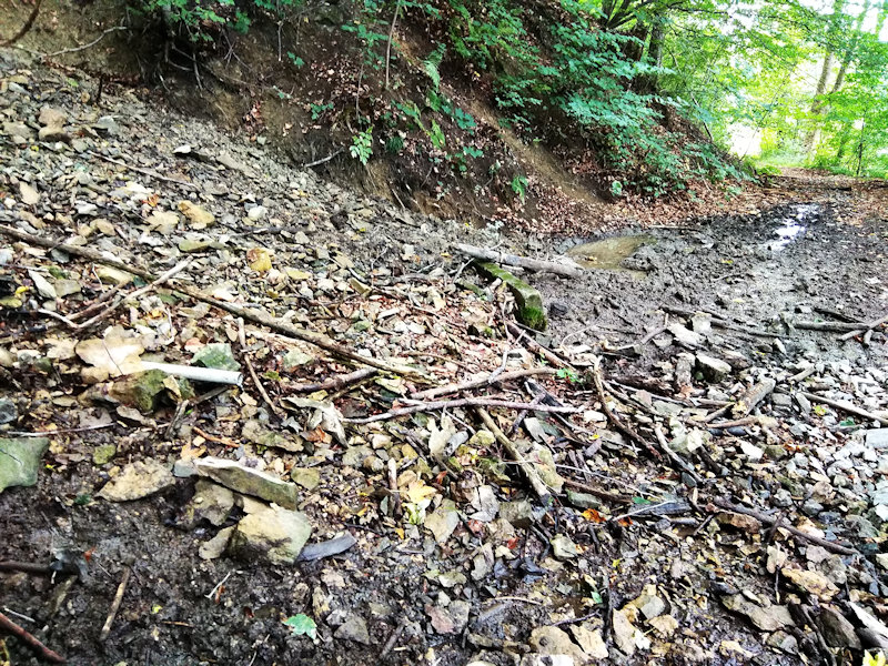 studánka Pod kapličkou (12329) - srpen 2018