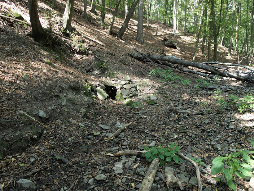 studánka bez jména (12341) - září 2018