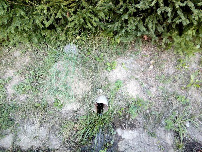 pramen Pod smrkem (12358) - září 2018