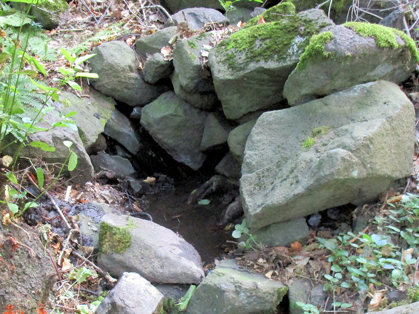 studánka Průčelská (12364) - srpen 2018