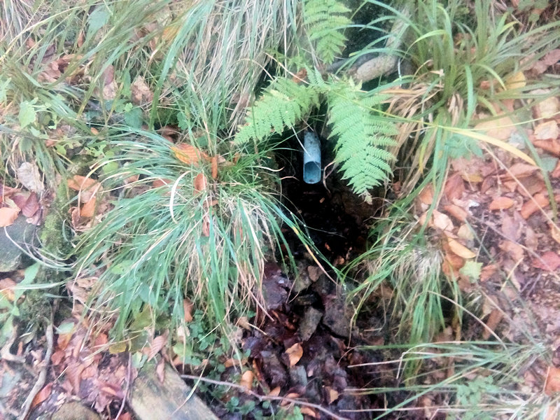 studánka Severka (12376) - září 2018